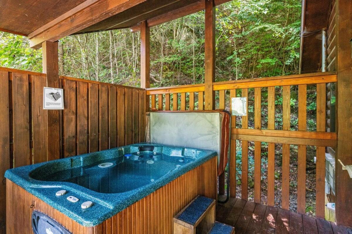 Cabin 5 Studio Cabin With Hot Tub, Water View And Fire Pit سيفيرفيل المظهر الخارجي الصورة